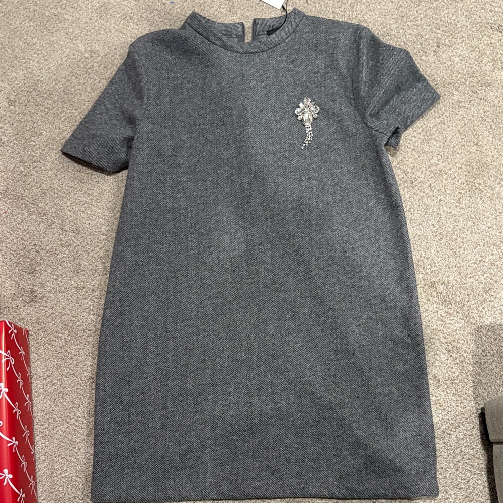 Zara Gray Mini Dress with Embellishment